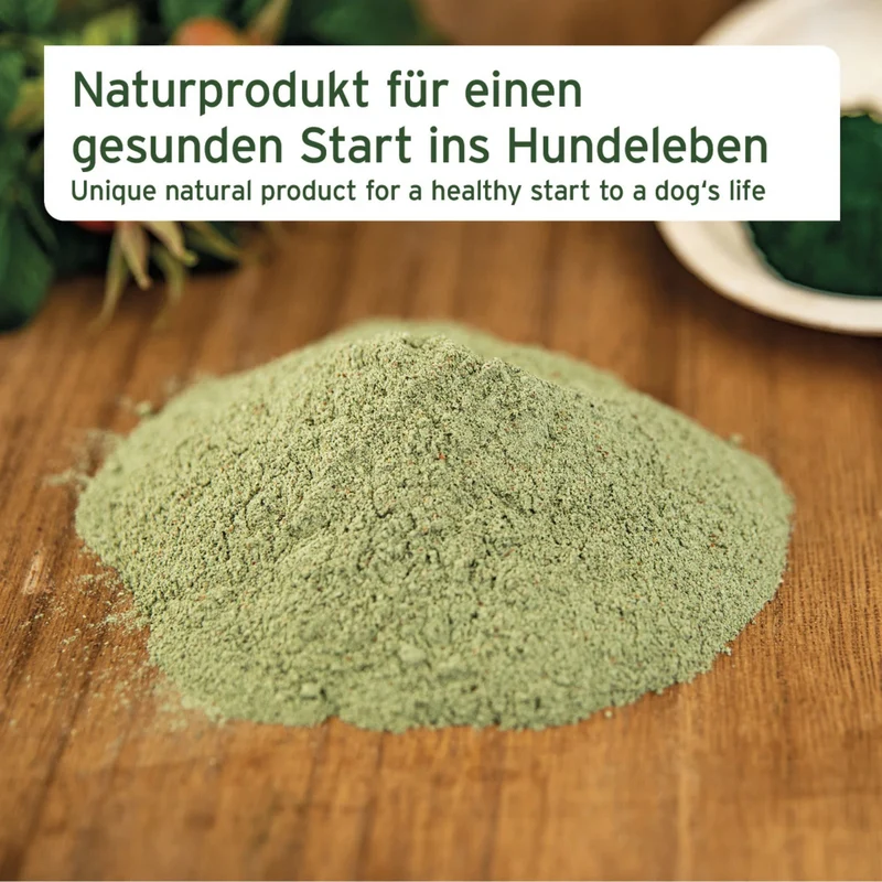 AniForte Junior Active – Natürliche Nahrungsergänzung für Welpen & Junghunde mit Grünlippmuschel, Teufelskralle & Vitaminen