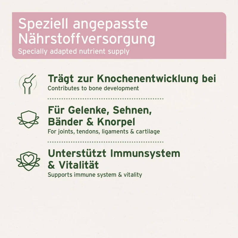 AniForte Junior Active – Natürliche Nahrungsergänzung für Welpen & Junghunde mit Grünlippmuschel, Teufelskralle & Vitaminen