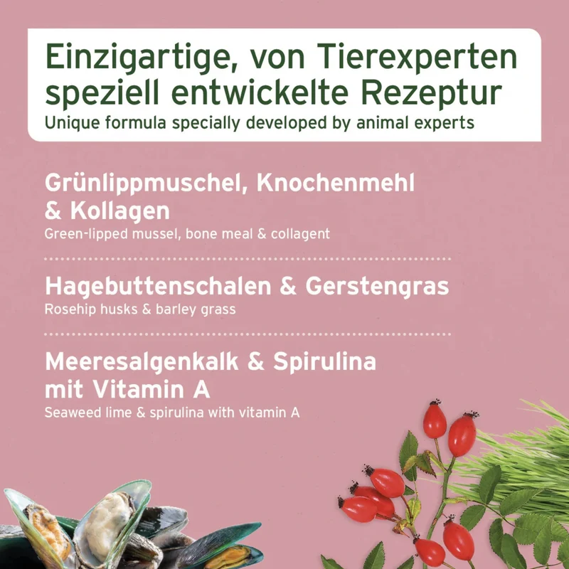 AniForte Junior Active – Natürliche Nahrungsergänzung für Welpen & Junghunde mit Grünlippmuschel, Teufelskralle & Vitaminen