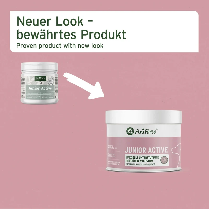 AniForte Junior Active – Natürliche Nahrungsergänzung für Welpen & Junghunde mit Grünlippmuschel, Teufelskralle & Vitaminen