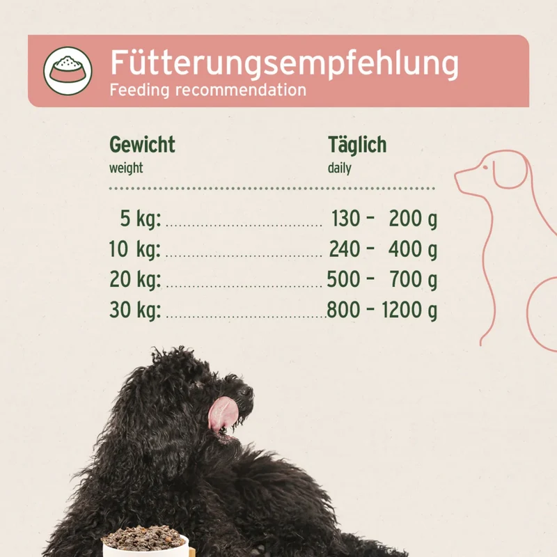AniForte Pure Nature Country Beef Premium Nassfutter – 100% Rind, getreidefrei & reich an Omega-3 für gesunde Hunde