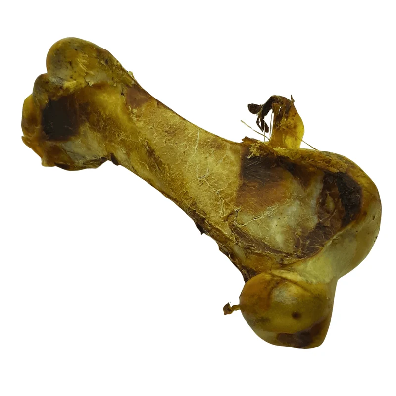 Straußen-Knochen XXL