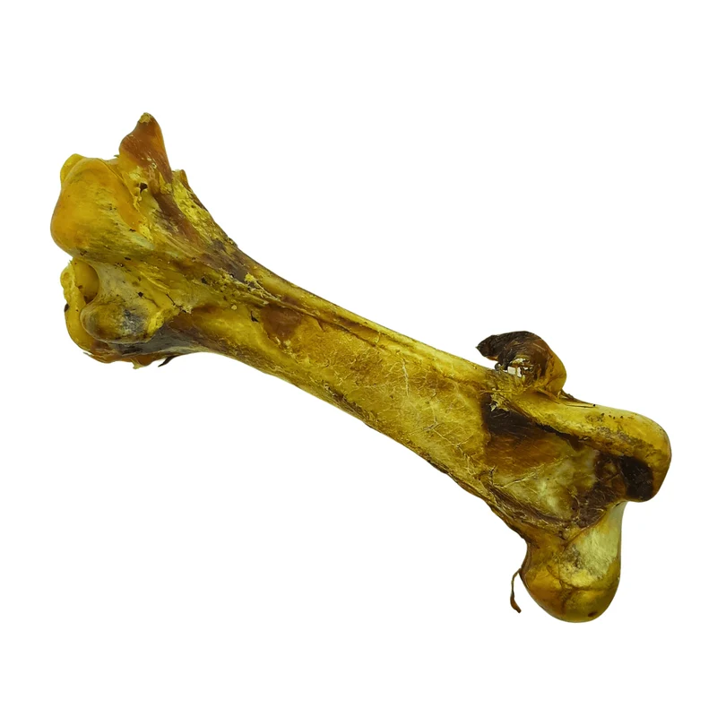 Straußen-Knochen XXL