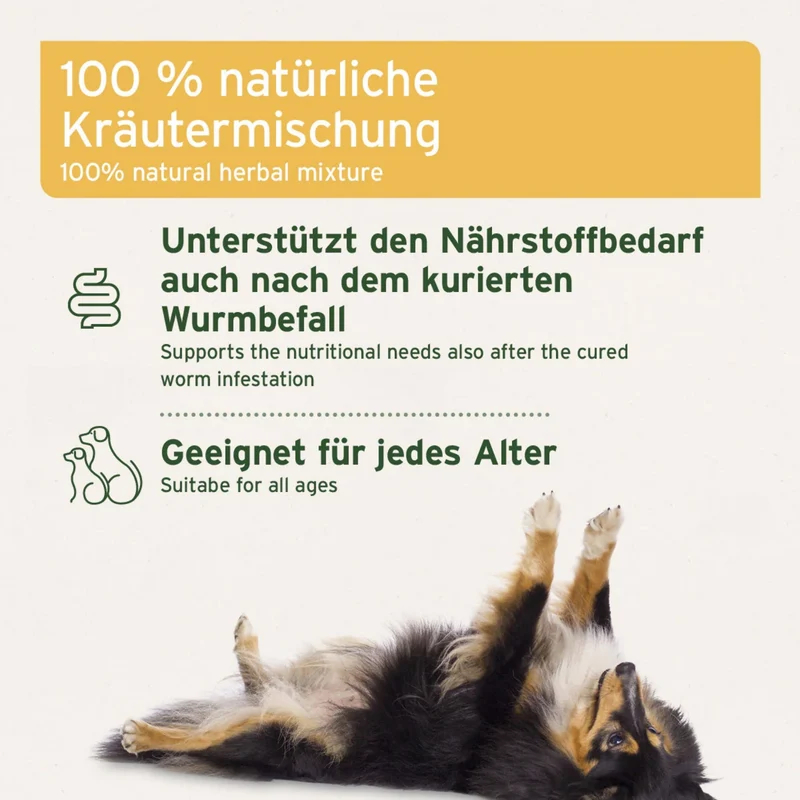 AniForte WermiX Pulver für Hunde – Natürliches Kräuterpulver zur Unterstützung nach Wurmkur – Mit Thymian, Beifuß, Wermut & Salbei für eine schnelle Erholung