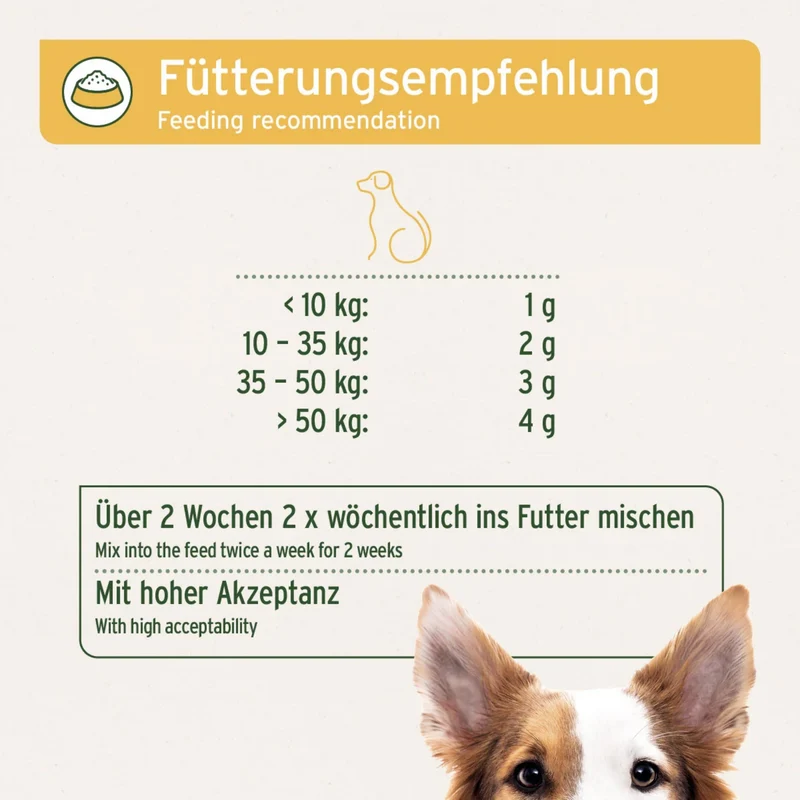 AniForte WermiX Pulver für Hunde – Natürliches Kräuterpulver zur Unterstützung nach Wurmkur – Mit Thymian, Beifuß, Wermut & Salbei für eine schnelle Erholung