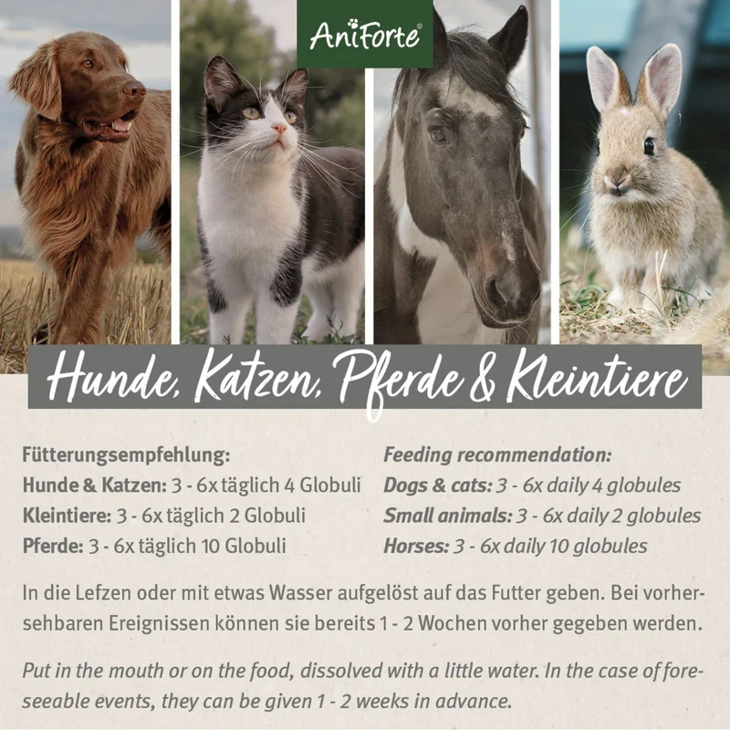 AniForte Bachblüten Wohlfühl-Globuli gegen Stress & Angst bei Hunden – Natürliche Beruhigung bei Nervosität, Unruhe & Angststörungen