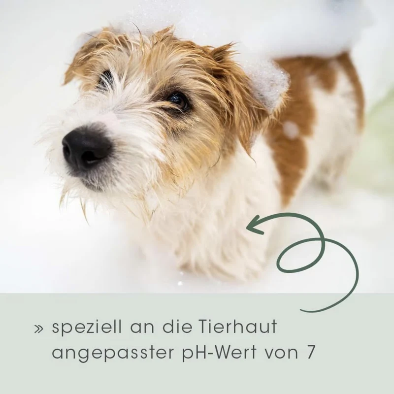 cdVet VeaVet Pflegeshampoo für Hunde & Katzen – Natürliche Fellpflege mit Aloe Vera für glänzendes, gesundes Fell bei empfindlicher Haut