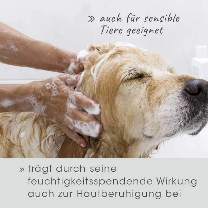 cdVet VeaVet Pflegeshampoo für Hunde & Katzen – Natürliche Fellpflege mit Aloe Vera für glänzendes, gesundes Fell bei empfindlicher Haut