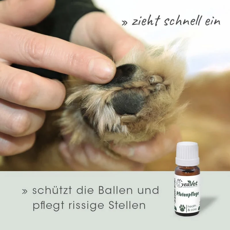 cdVet VeaVet Pfotenpflege für Hunde & Katzen – Natürlicher Schutz bei rissigen, spröden und empfindlichen Pfoten