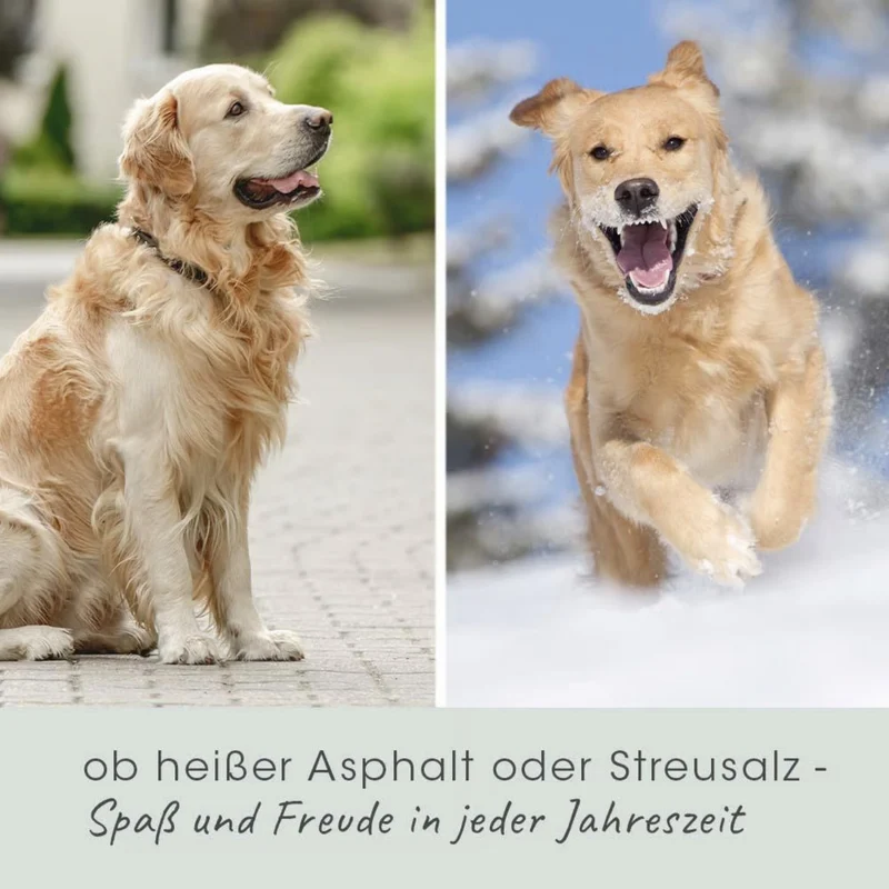 cdVet VeaVet Pfotenpflege für Hunde & Katzen – Natürlicher Schutz bei rissigen, spröden und empfindlichen Pfoten