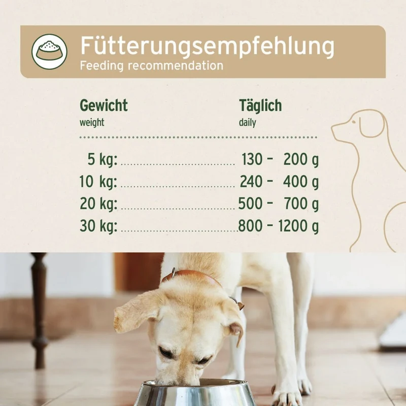 AniForte Pure Nature Wild Buffalo Nassfutter – 100% Büffelfleisch, Natürlich & Glutenfrei für Hunde mit Futtermittelallergien und Sensibilitäten