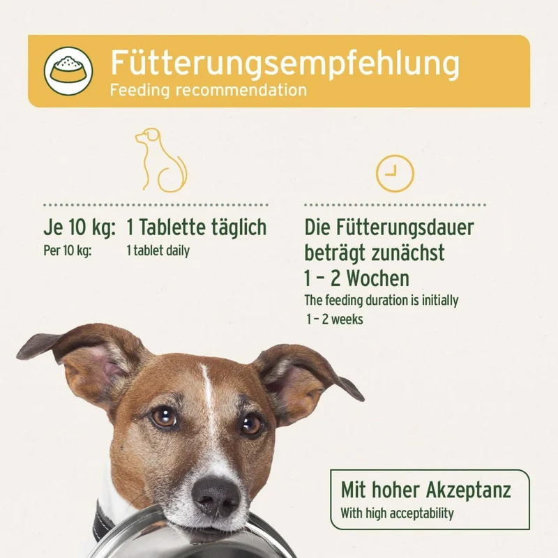 AniForte PLUS Magen & Darm Tabletten für Hunde – Natürliche Unterstützung bei Verdauungsproblemen, Durchfall & Blähungen – Expertenformel zur Stärkung der Darmflora