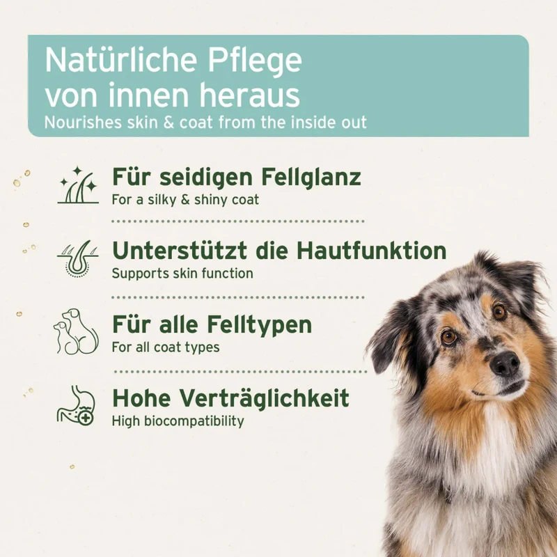 AniForte Fellharmonie Futteröl für Hunde & Katzen – Premium Omega-3 & Omega-6 Öl-Mix mit Lachsöl, Hanföl & Nachtkerzenöl für glänzendes Fell, gesunde Haut & weniger Juckreiz