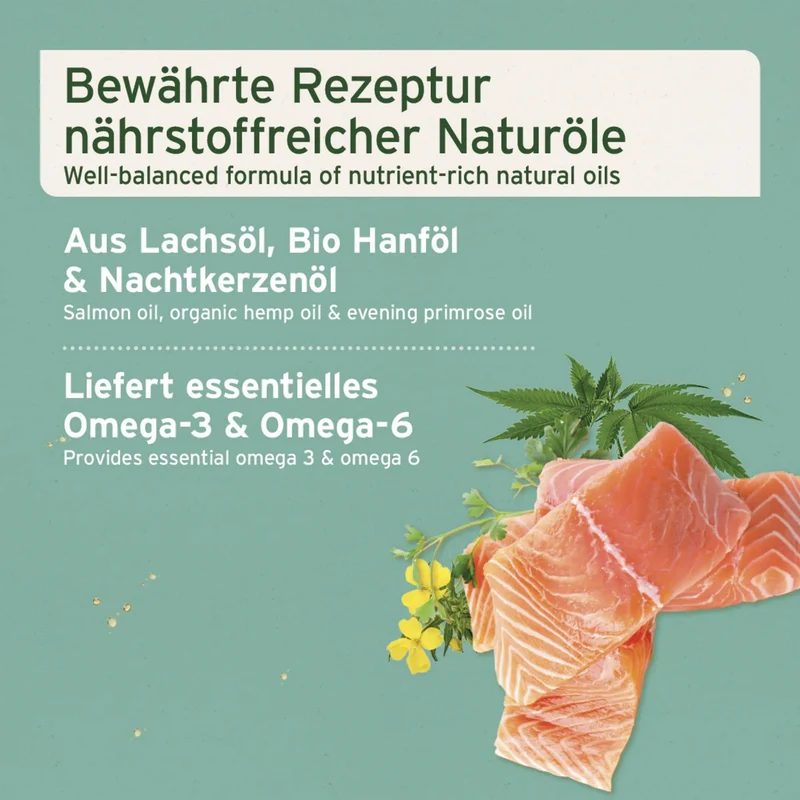 AniForte Fellharmonie Futteröl für Hunde & Katzen – Premium Omega-3 & Omega-6 Öl-Mix mit Lachsöl, Hanföl & Nachtkerzenöl für glänzendes Fell, gesunde Haut & weniger Juckreiz