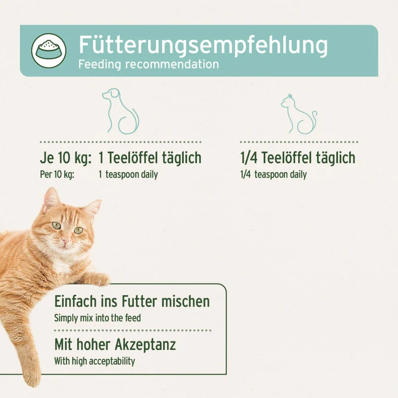 AniForte Fellharmonie Futteröl für Hunde & Katzen – Premium Omega-3 & Omega-6 Öl-Mix mit Lachsöl, Hanföl & Nachtkerzenöl für glänzendes Fell, gesunde Haut & weniger Juckreiz