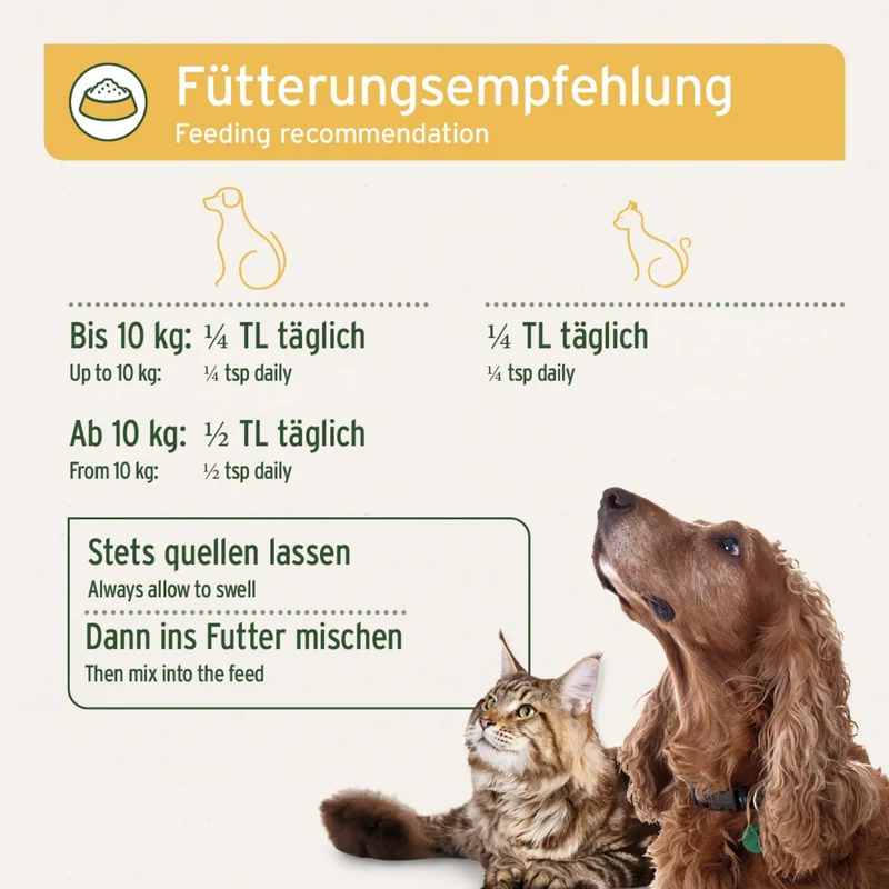 AniForte Flohsamenschalen für Hunde & Katzen - Natürliche Verdauungshilfe mit 95% Reinheit in Premium Rohkost-Qualität