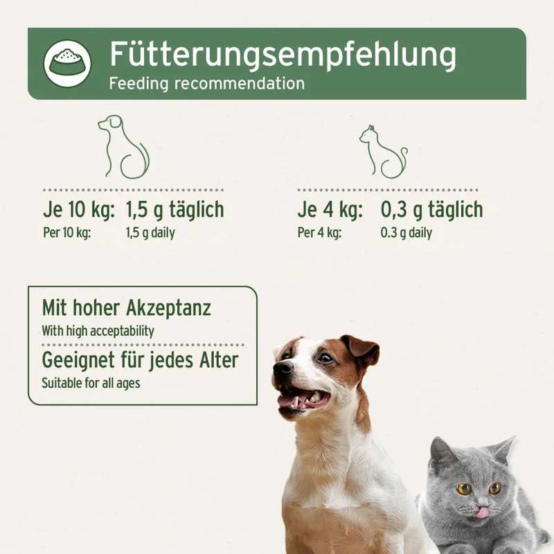 AniForte Gemahlene Eierschalen für Hunde & Katzen - Natürliches Calcium für starke Knochen & Zähne, Premium Nahrungsergänzung beim BARFen