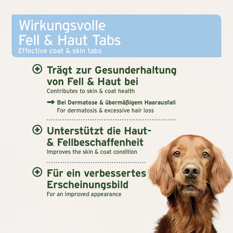 AniForte PLUS Fell & Haut Tabletten für Hunde – Natürliche Unterstützung für glänzendes Fell, gesunde Haut und weniger Juckreiz