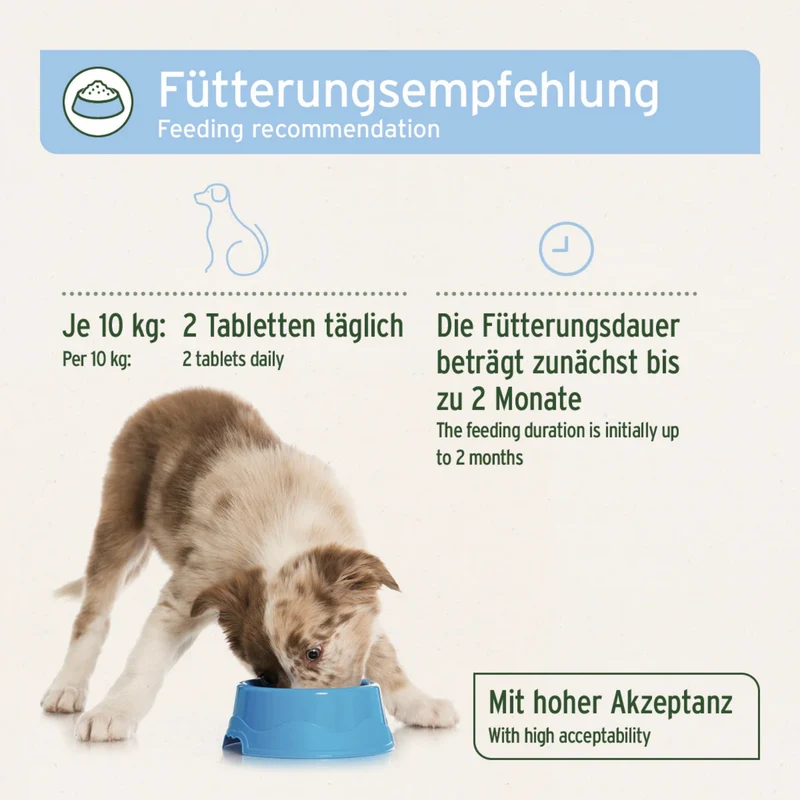 AniForte PLUS Fell & Haut Tabletten für Hunde – Natürliche Unterstützung für glänzendes Fell, gesunde Haut und weniger Juckreiz