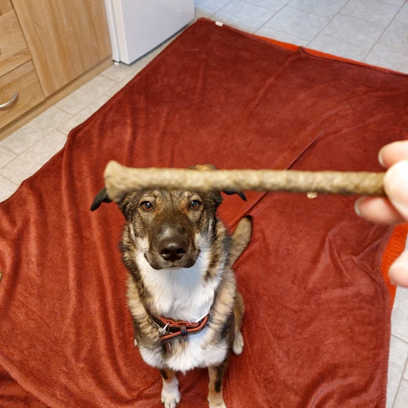 Seebarsch-Sticks