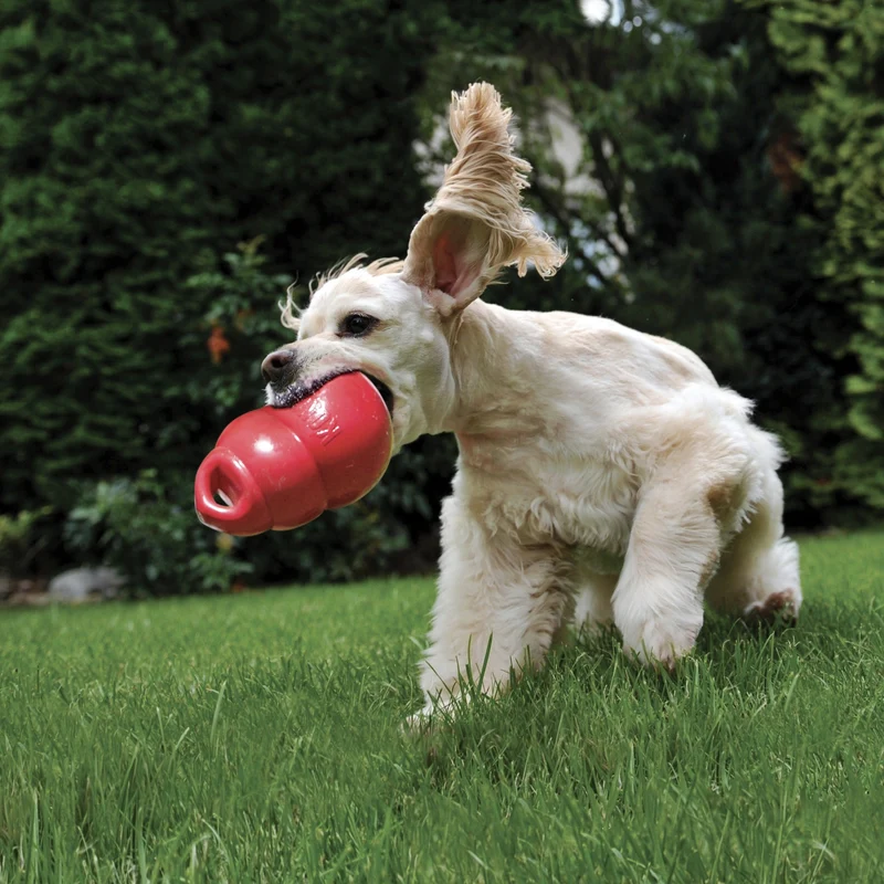 KONG Bounzer – Federleichtes Hundespielzeug mit Extra-Sprungkraft für aktive Hunde & Welpen