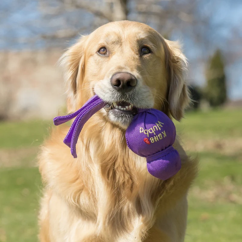 KONG Wubba – Robustes Hundespielzeug mit Squeaker für aktive Apportier- und Zerrspiele