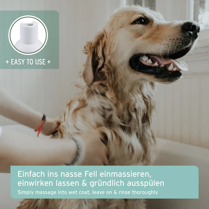 AniForte Sensitiv Shampoo für Hunde mit Aloe Vera – Sanfte Pflege für empfindliche Haut & glänzendes Fell, pH-hautneutral