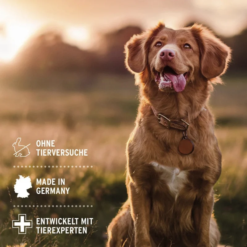 AniForte Sensitiv Shampoo für Hunde mit Aloe Vera – Sanfte Pflege für empfindliche Haut & glänzendes Fell, pH-hautneutral