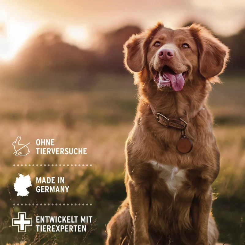 AniForte Sensitiv Conditioner für Hunde – Fellpflege mit Aloe Vera für geschmeidiges Fell