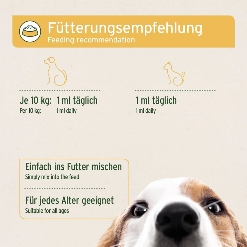 AniForte Prebiotic TopinPur VET – Natürliches Präbiotikum mit Topinambur-Inulin für gesunde Darmflora & starke Verdauung bei Hunden