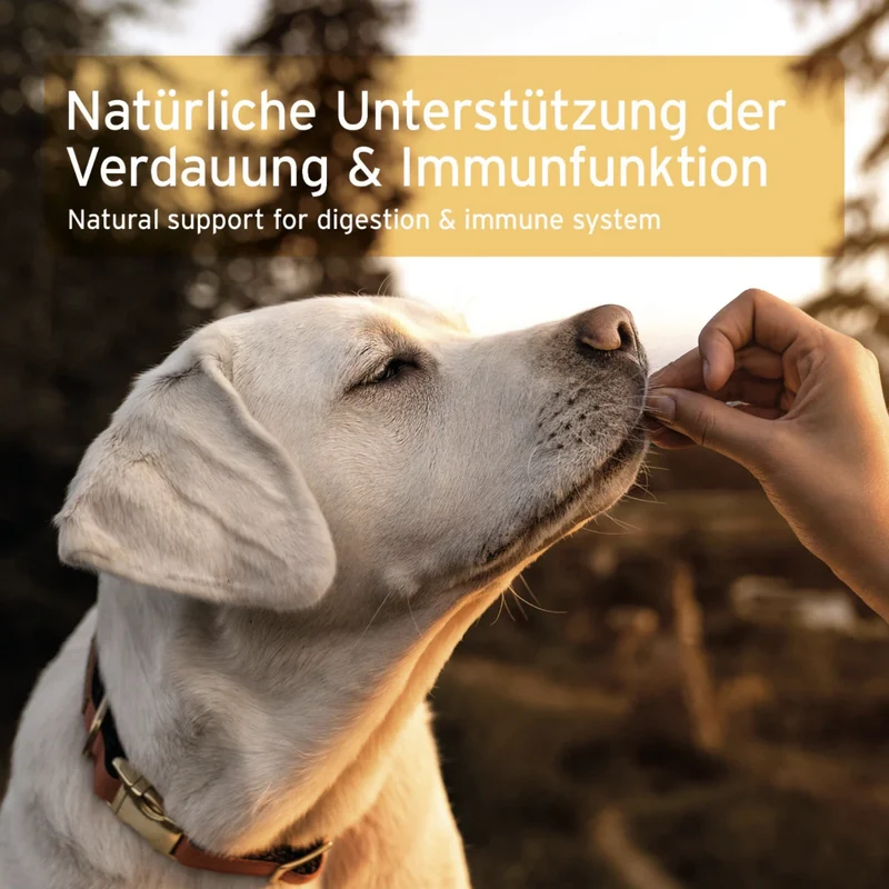 AniForte Prebiotic TopinPur VET – Natürliches Präbiotikum mit Topinambur-Inulin für gesunde Darmflora & starke Verdauung bei Hunden