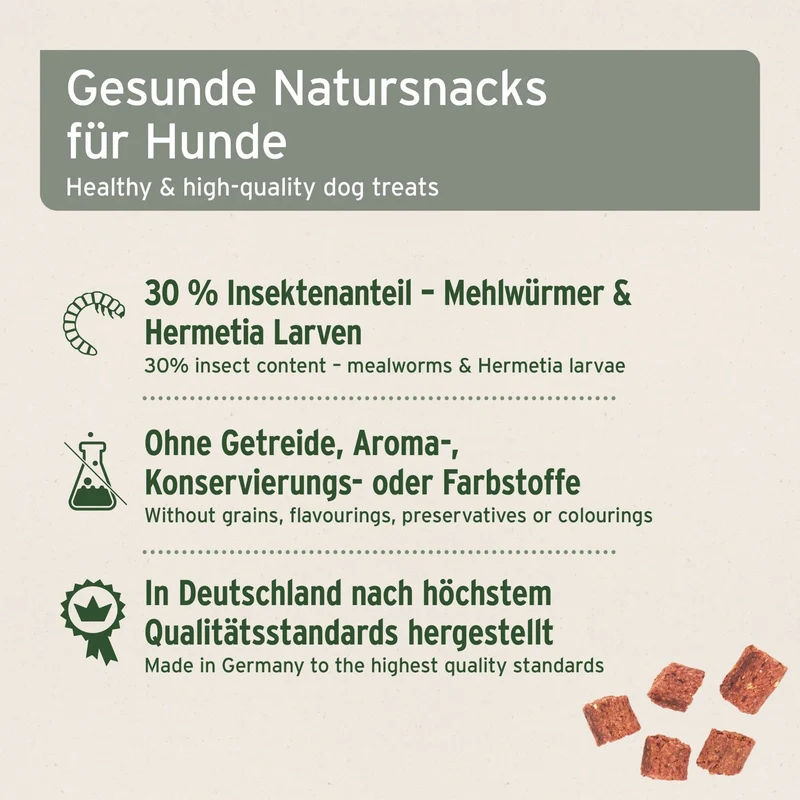 AniForte Insekten Hundesnacks – Natürliche Protein-Leckerlis für Allergiker-Hunde, getreidefrei & hypoallergen mit Mehlwürmern & Hermetia-Larven