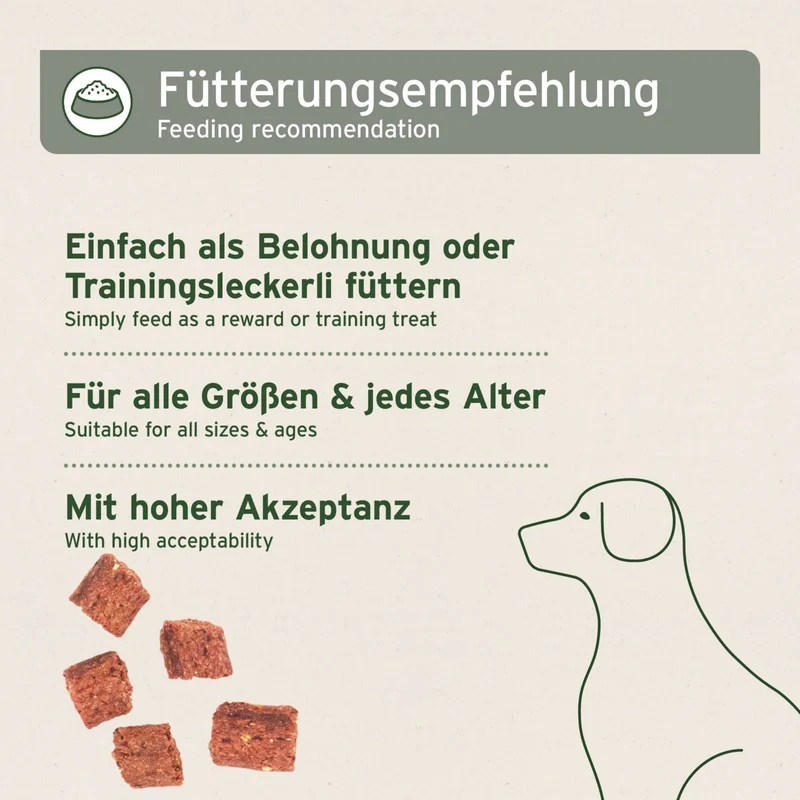 AniForte Insekten Hundesnacks – Natürliche Protein-Leckerlis für Allergiker-Hunde, getreidefrei & hypoallergen mit Mehlwürmern & Hermetia-Larven