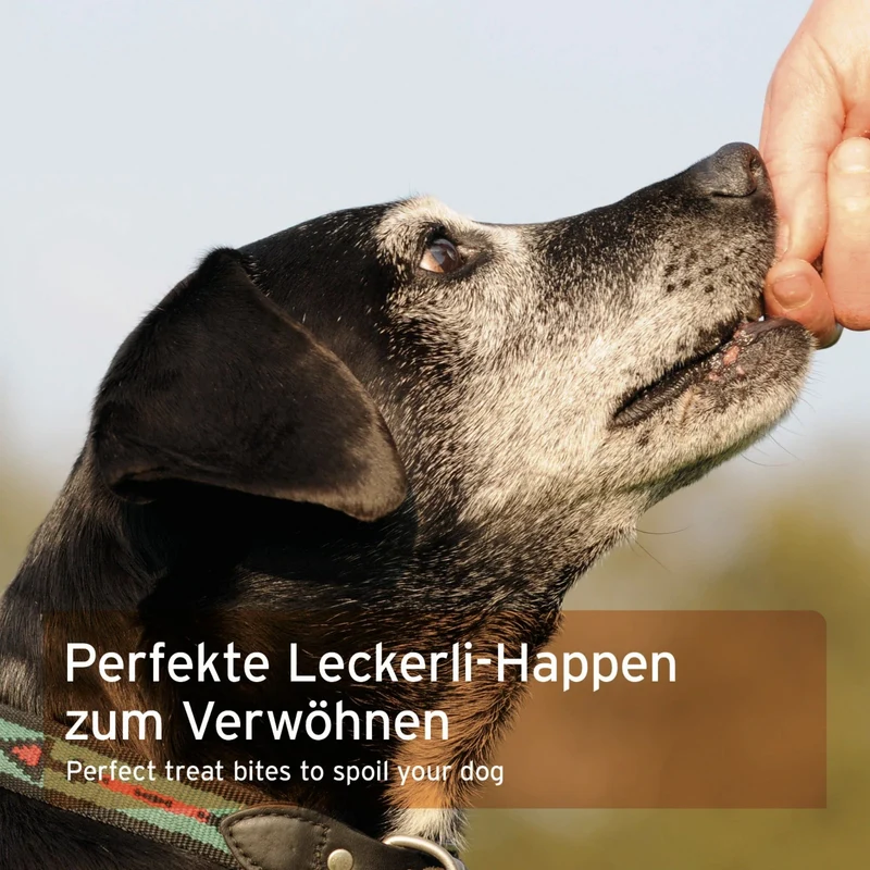 AniForte Huhn Hundesnacks – Premium Trainingssnacks mit 96% frischem Fleisch, getreidefrei & extra weich für Welpen & Senioren