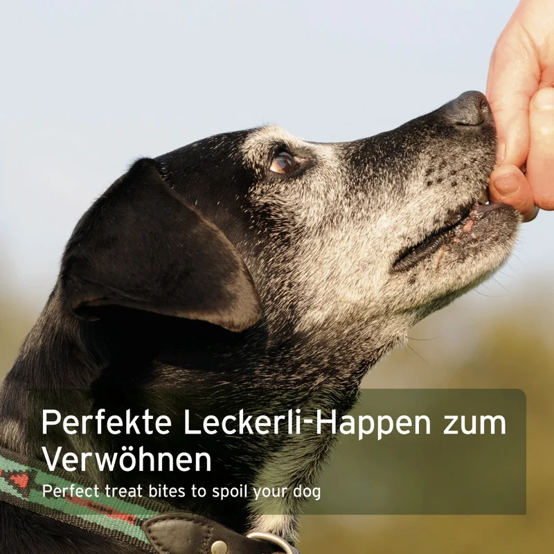 AniForte Pferd Hundesnacks – Natürliche Premium-Belohnung für sensible Hunde, hypoallergen & getreidefrei, Single Protein aus Deutschland