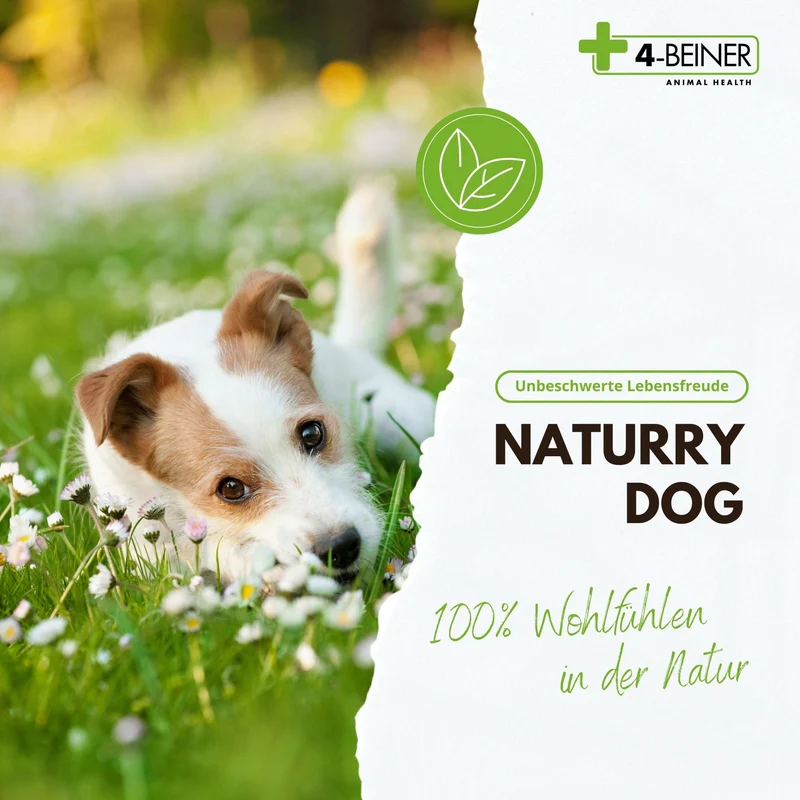 4-Beiner Naturry Dog - 80 Gramm