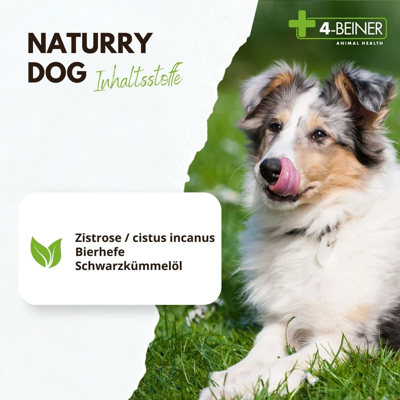4-Beiner Naturry Dog - 80 Gramm