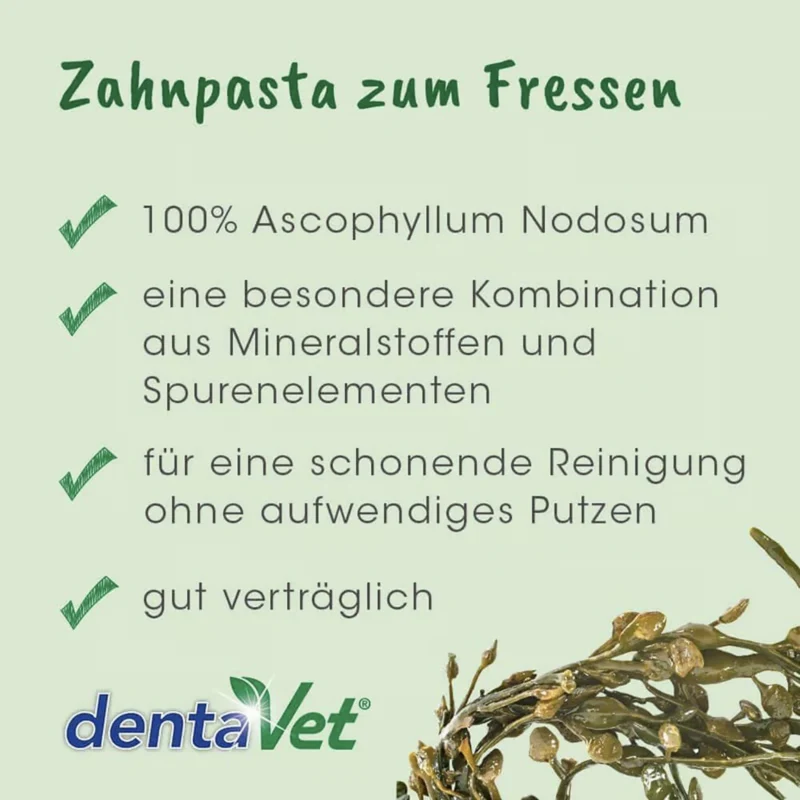 cdVet dentaVet Anti-Plaque – Natürliche Zahnreinigung für Hunde ohne Bürsten | Effektiv gegen Zahnstein, Plaque & Mundgeruch