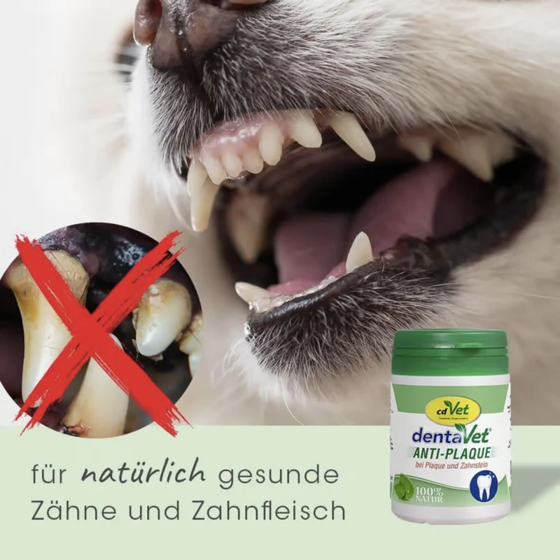 cdVet dentaVet Anti-Plaque – Natürliche Zahnreinigung für Hunde ohne Bürsten | Effektiv gegen Zahnstein, Plaque & Mundgeruch