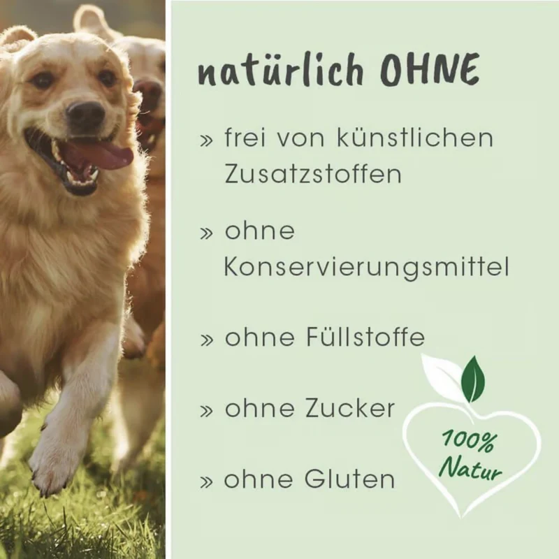 cdVet dentaVet Anti-Plaque – Natürliche Zahnreinigung für Hunde ohne Bürsten | Effektiv gegen Zahnstein, Plaque & Mundgeruch