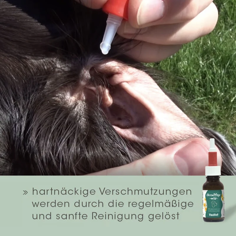 cdVet VeaVet Ohrenpflege mild – Natürliche Ohrenreinigung für Hunde & Katzen mit Lebermoos & Arnika gegen Juckreiz, Geruch & Infektionen