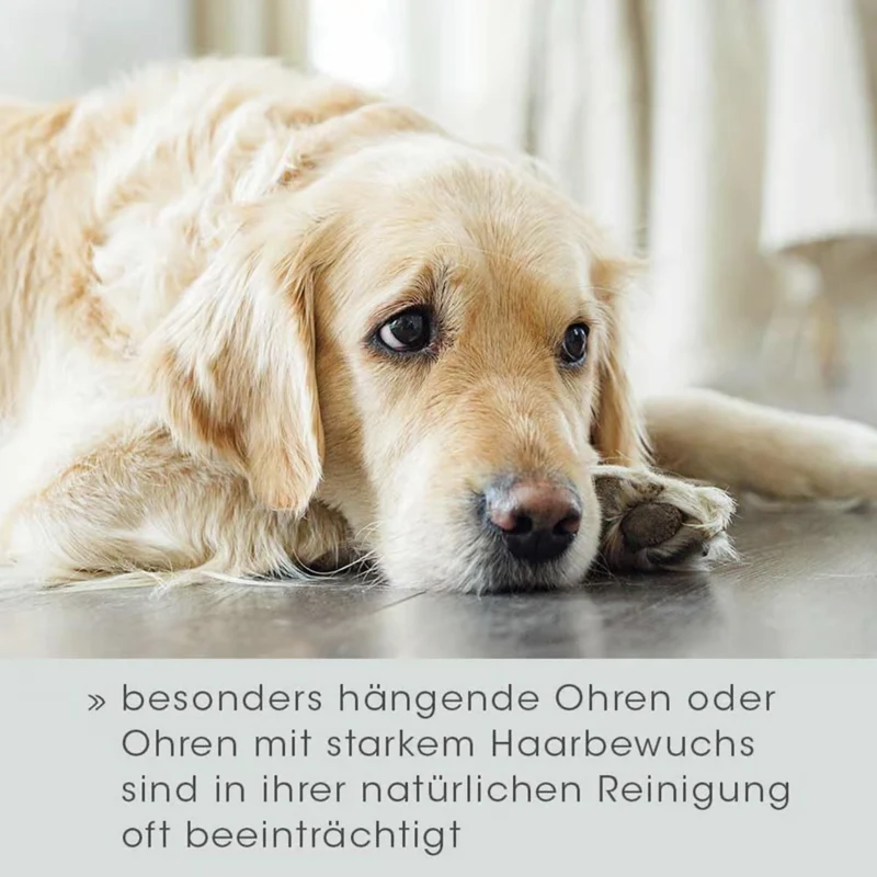cdVet VeaVet Ohrenpflege mild – Natürliche Ohrenreinigung für Hunde & Katzen mit Lebermoos & Arnika gegen Juckreiz, Geruch & Infektionen
