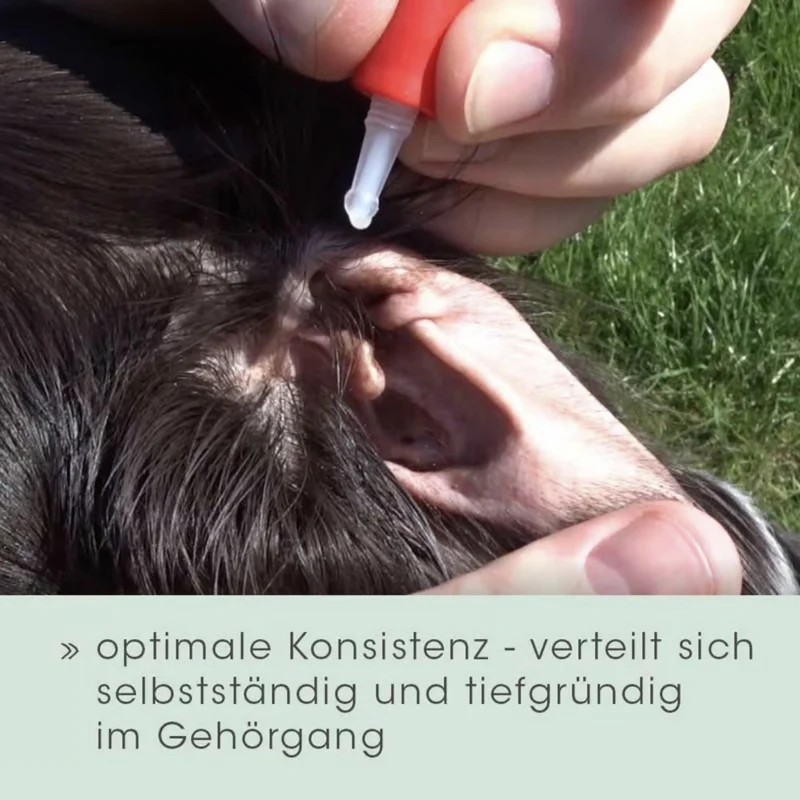 cdVet Ohrenpflege für Hunde – Natürliche Ohrenreinigung mit Teebaumöl gegen Juckreiz, Milben & Entzündungen