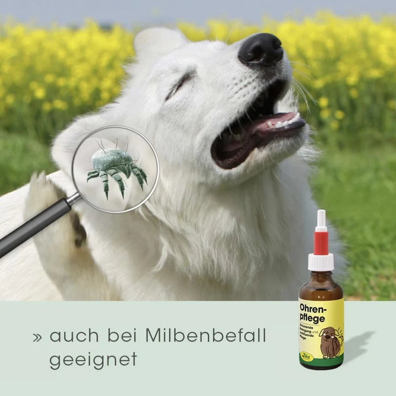 cdVet Ohrenpflege für Hunde – Natürliche Ohrenreinigung mit Teebaumöl gegen Juckreiz, Milben & Entzündungen