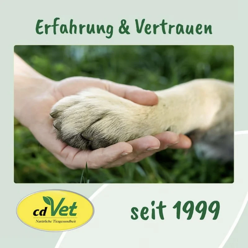 cdVet Ohrenpflege für Hunde – Natürliche Ohrenreinigung mit Teebaumöl gegen Juckreiz, Milben & Entzündungen