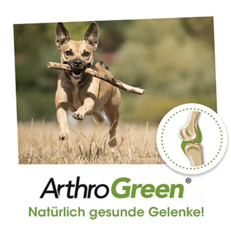 cdVet ArthroGreen Classic – Natürliche Gelenkunterstützung für aktive Hunde mit Grünlippmuschel, Vitaminen & Spurenelementen