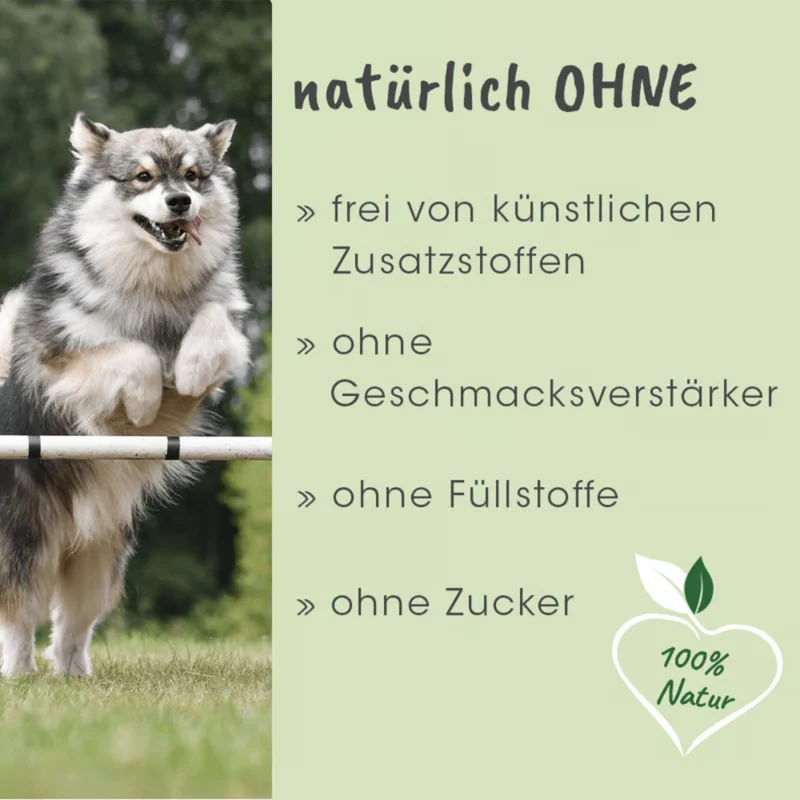 cdVet ArthroGreen Classic – Natürliche Gelenkunterstützung für aktive Hunde mit Grünlippmuschel, Vitaminen & Spurenelementen