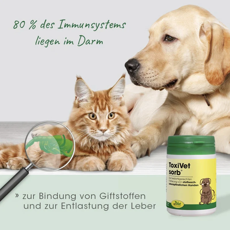 cdVet ToxiVet sorb - Natürliche Hilfe bei Durchfall für Hunde & Katzen mit Präbiotika & Bentonit zur Darmstärkung und Entgiftung