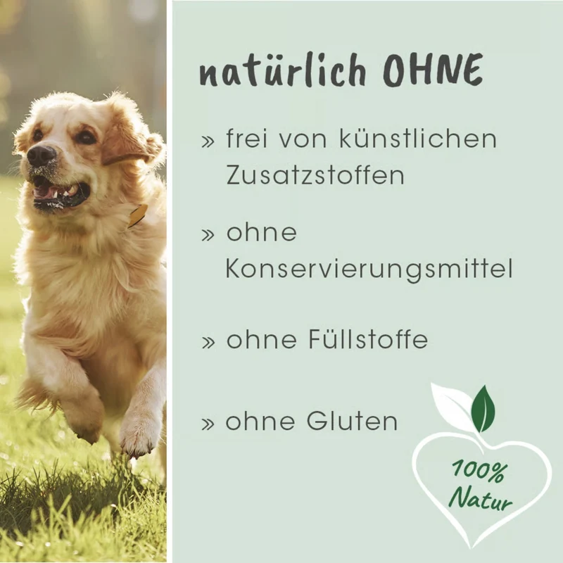cdVet ToxiVet sorb - Natürliche Hilfe bei Durchfall für Hunde & Katzen mit Präbiotika & Bentonit zur Darmstärkung und Entgiftung