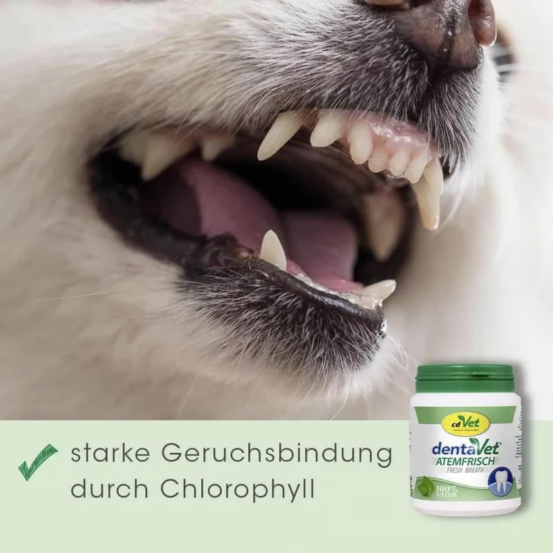 cdVet dentaVet Atemfrisch – Natürliche Lösung gegen Mundgeruch bei Hunden mit Chlorophyll & Kräutern für frischen Atem